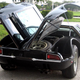 Illustration for article titled For $88,500, Me Gusta Mangusta